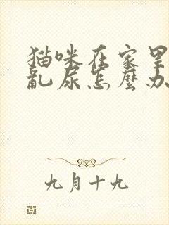 猫咪在家里到处乱尿怎么办