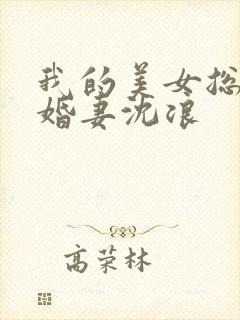 我的美女总裁未婚妻沈浪封面