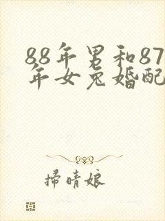 88年男和87年女兔婚配