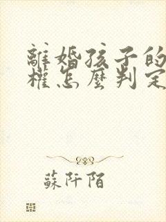 离婚孩子的抚养权怎么判定标准