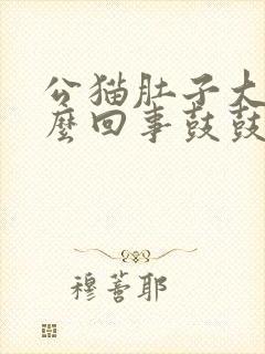 公猫肚子大是怎么回事鼓鼓的