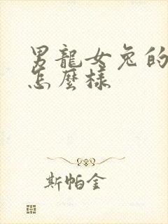 男龙女兔的婚姻怎么样封面