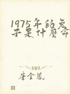 1975年的兔子是什么命,五行属性