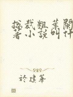 总裁粗叶阑珊原著小说叫什么名字