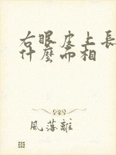 右眼皮上长痣是什么面相