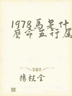 1978马是什么命五行属性封面