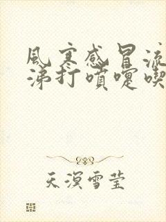 风寒感冒流清鼻涕打喷嚏吃什么药