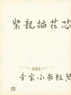 紫龙插花芯方正封面