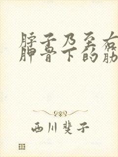 脖子乃至右侧肩胛骨下的筋疼