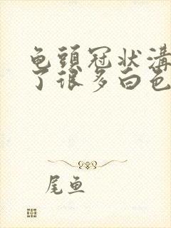 龟头冠状沟里长了很多白色颗粒