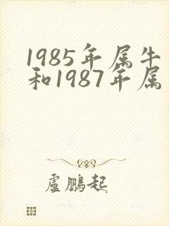 1985年属牛和1987年属兔婚配好吗封面