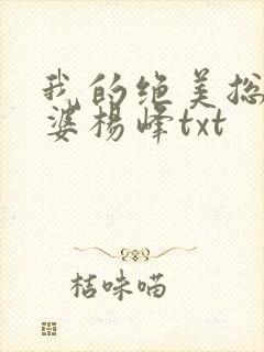 我的绝美总裁老婆杨峰txt