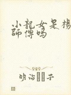 小龙女是杨过的师傅吗