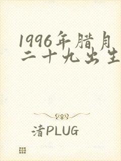 1996年腊月二十九出生的人的命运
