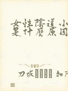 女性阴道小肉粒是什么原因