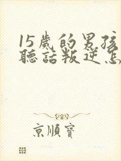 15岁的男孩不听话叛逆怎么办