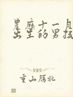 农历十一月十八出生的男孩子命运好吗?封面