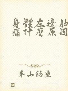 身体左边肋骨疼痛什么原因