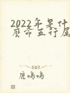2022年是什么命五行属什么命封面