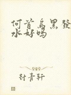 何首乌黑发洗发水好吗