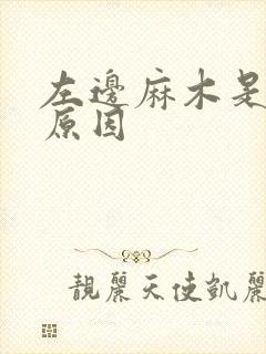 左边麻木是什么原因