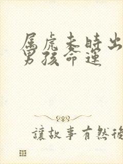 属虎未时出生的男孩命运