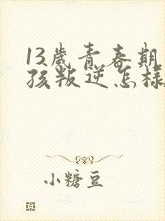 13岁青春期男孩叛逆怎样引导