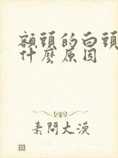 额头的白头发是什么原因封面