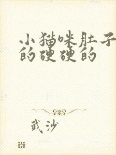 小猫咪肚子鼓鼓的硬硬的