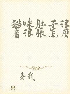 猫咪肚子很大摸着很胀怎么办