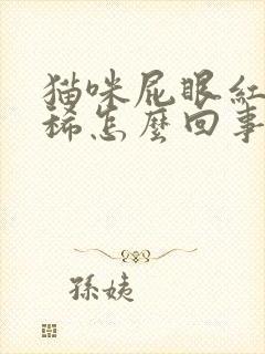 猫咪屁眼红肿拉稀怎么回事