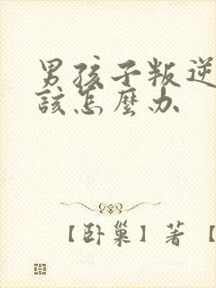 男孩子叛逆厌学该怎么办