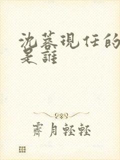 沈蓉现任的丈夫是谁