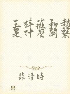 王梓薇和赵丽颖是什么关系