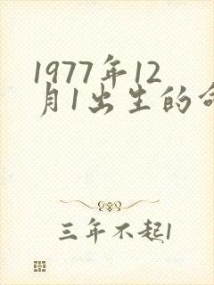1977年12月1出生的命运农历