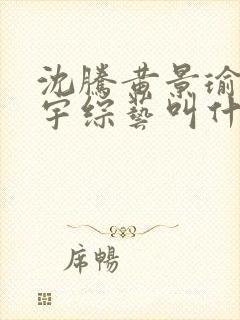 沈腾黄景瑜王安宇综艺叫什么封面