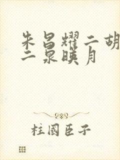 朱昌耀二胡演奏二泉映月