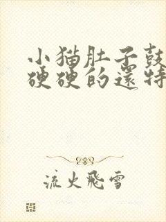 小猫肚子鼓鼓的硬硬的还特别能吃