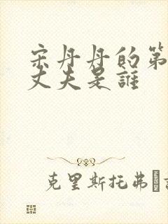 宋丹丹的第二任丈夫是谁