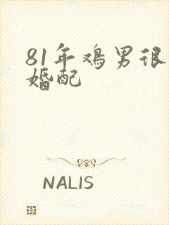 81年鸡男很佳婚配