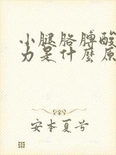 小腿胳膊酸软无力是什么原因封面