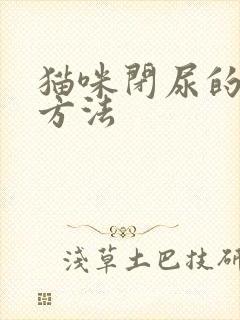 猫咪闭尿的缓解方法封面