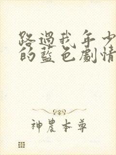 路过我年少时光的蓝色剧情介绍