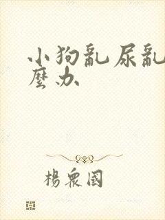 小狗乱尿乱拉怎么办