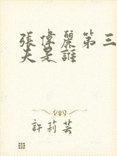 张伟丽第三任丈夫是谁