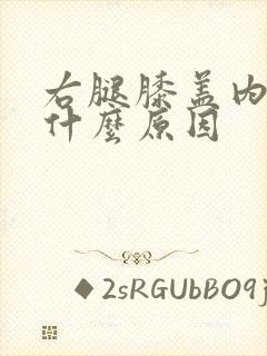 右腿膝盖内侧痛什么原因