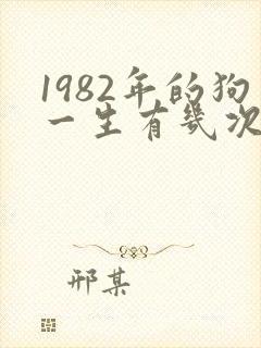 1982年的狗一生有几次婚姻