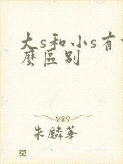大s和小s有什么区别