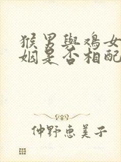 猴男与鸡女的婚姻是否相配