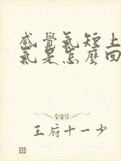 感觉气短上不来气是怎么回事封面